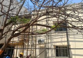 Scaffolding Rental MG Road Bangalore